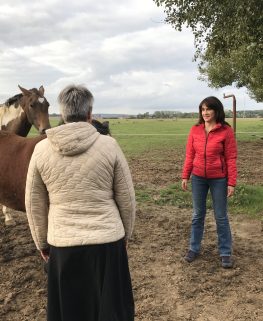 Cavalleria - Equicoaching - IMG_9639